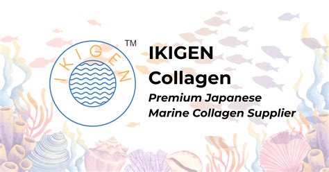 codini.rgarabwor.edu.pl. 