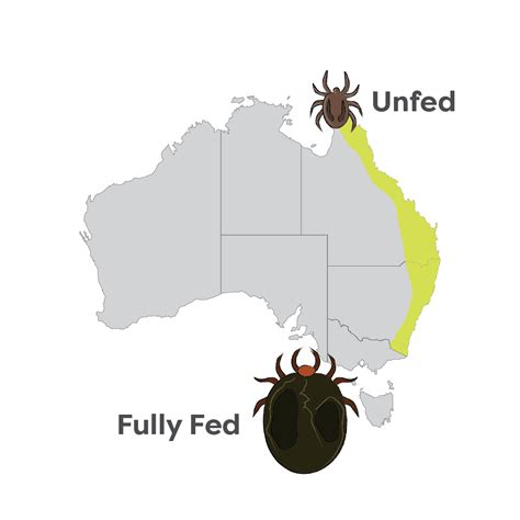 Blog2 – Ticks of Australia