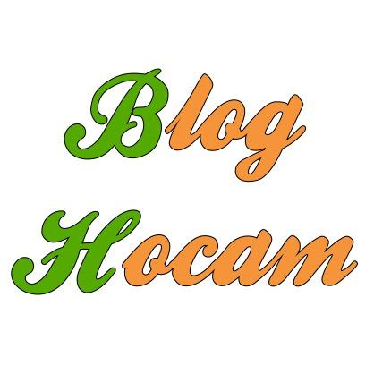 Bloghocam