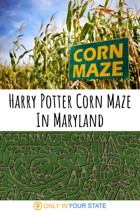 Sep 14, 2022 · The Maryland Corn Maze returns to Gambrills Saturday with a prehistoric twist. The 8-acre maze has been mowed into a “Jurassic Park” theme with giant dinosaur landscape statues that look like ... . 