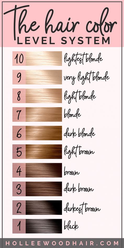 Blonde Hair Color Chart Numbers (2026)
