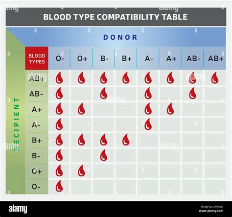Blood Donor Type Chart