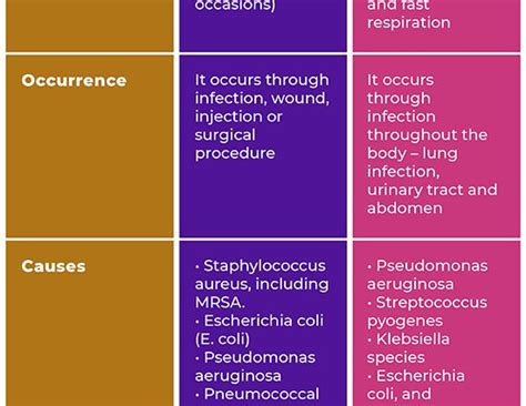 Blood Infection: Causes, Symptoms, and Treatment