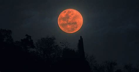 Blood Moon - Buffalo & Erie County Public Library - OverDrive