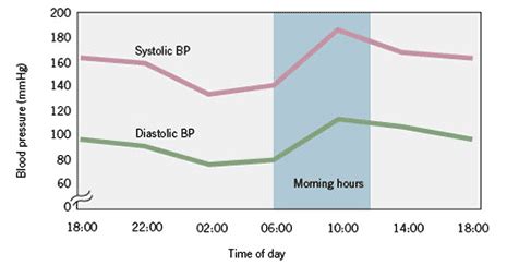 Blood Pressure Circadian Rhythm Chart