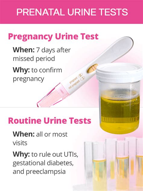Blood in pee pregnant