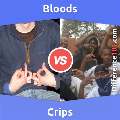 The correct answer is neither. Families and Ballas are both mixed with elements of Crip and Blood. R* did it like that on purpose. For example, Families is green which is realated to Blood but their lingo is Crip. Families have more things related to Crip and Ballas have more related to Blood tho.. 