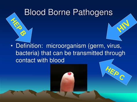 Blood-borne Definition & Meaning - Merriam-Webster