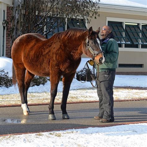 The average was $51,943 and the median. . Bloodhorse
