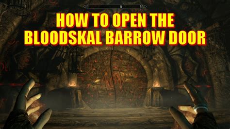 This door can be found on solstheim by starting the quest The final descent you will find the quest by going into the raven rock mine. 