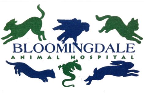 Bloomingdale animal hospital. Things To Know About Bloomingdale animal hospital. 