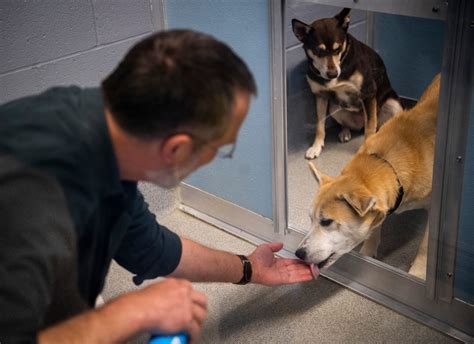 Bloomington animal shelter. Things To Know About Bloomington animal shelter. 