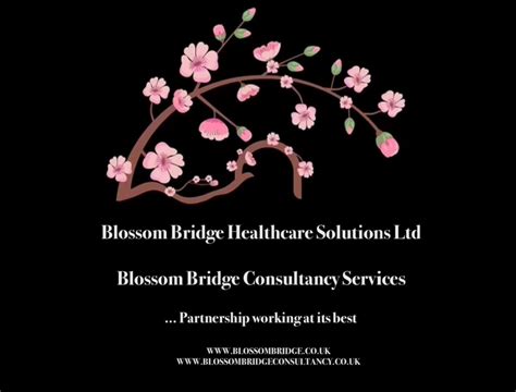 Blossom Bridge Healthcare - Apps on Google Play