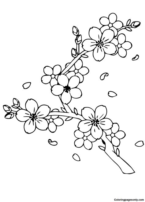Bear Coloring Pages Preschool