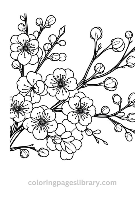 Blossom Coloring Pages Coloring Pages