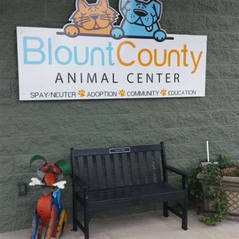 Blount county animal shelter. Things To Know About Blount county animal shelter. 