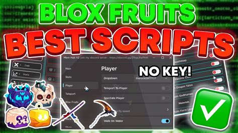 Blox Fruits Script instructions