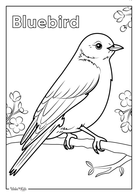Blue Bird Coloring
