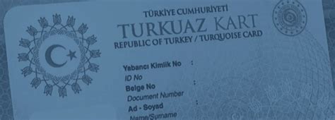 Blue Card Program in Turkey: Application Process and Benefits.