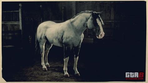 Blue Roan Overo Criollo RDR2 & Red Dead Online Horses