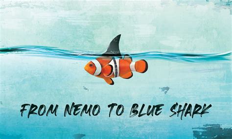 Blue Shark A New Breed Ad Agency