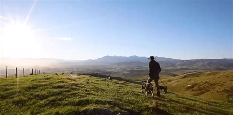 Blue Sky Meats wins supreme business award Stuff.co.nz