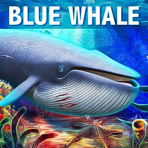 Blue Whale Simulator Free No Download.