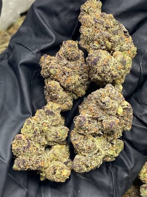 Blue bacio strain. THC: 16% - 24%, CBN: 1 %. Blueberry is an indica dominant hybrid (80% indica/20% sativa) strain with unknown true parentage. This bud has been traced back to the early 70's when the infamous American breeder DJ Short started playing around with different landrace strains, ultimately resulting in this insanely delicious variety. 