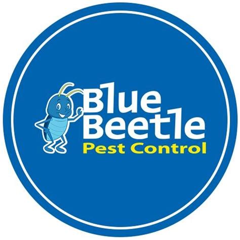 Blue beetle pest control. Things To Know About Blue beetle pest control. 