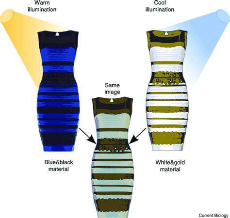 Blue black dress explanation. Things To Know About Blue black dress explanation. 