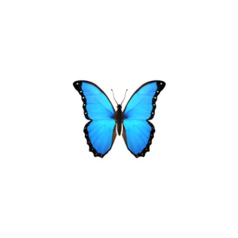 It means beauty. Some people use the blue butterfly emoji to tell someone they’re attractive or to emphasize nature’s magnificence. What is the blue butterfly a symbol of? The color blue in a butterfly is often thought to symbolize joy, color or a change in luck. Sometimes a blue butterfly is viewed as a wish granter. What is the cerulean .... 