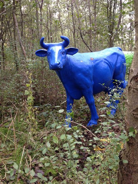 Blue cow. Things To Know About Blue cow. 