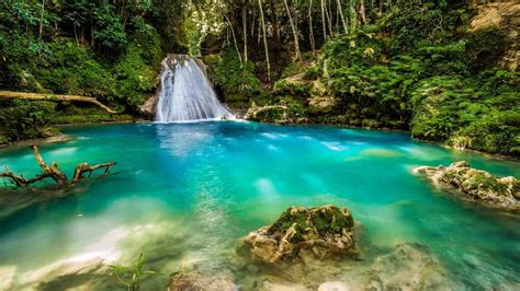 Blue hole jamaica. About. Blue Hole Mineral Spring sits 24 feet below the ground in a cavernous opening completely encased by Karst limestone. The natural mineral water in the spring is 35 feet deep; However, the edges of the spring are shallow for guests to stand or sit down. Thrill seekers and staff entertain guests with dives only a daredevil can perform. 