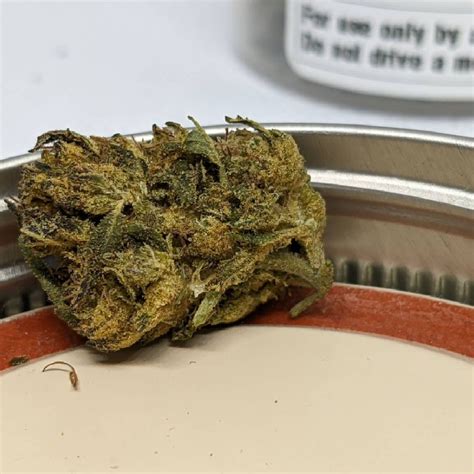 Blue koffee strain leaflyandprevsearchandptoaue. . Giggly Helps with: Anorexia . Depression . Anxiety calming energizing low THC high THC Koffee Breath is a hybrid weed strain. Reviewers on Leafly say this strain makes them feel tingly,... 