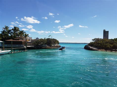 Blue lagoon bahamas. Praia de Blue Lagoon Island Localizada a apenas cinco quilômetros a nordeste de Nassau, a Blue Lagoon Island (também conhecida como Salt Cay) é o lar de golfinhos e leões marinhos em Dolphin Encounters, mas também oferece tudo o que você deseja em um refúgio em uma ilha particular. 