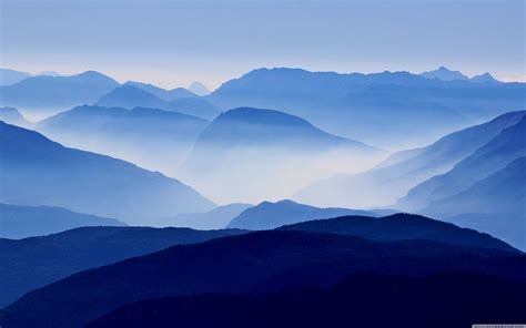Blue mountain mist. Things To Know About Blue mountain mist. 