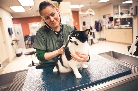 Specialty and emergency pet hospital in Glendale, WI. With locations 