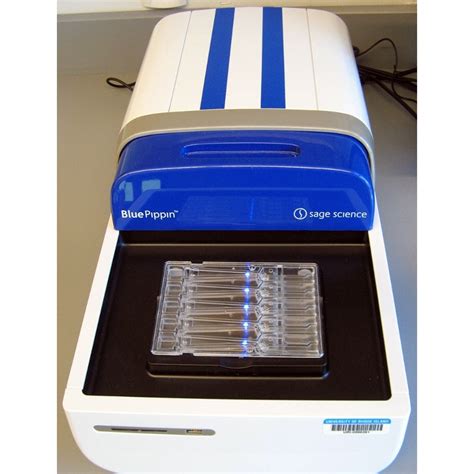 Blue pippin. A final fragment size purification step was performed using the Blue Pippin system selecting fragments between 250 and 500 bp. The libraries were confirmed by electrophoresis on a 1% TAE agarose gel and the Agilent BioAnalyzer 2100 ® after purification by AMPure bead. 