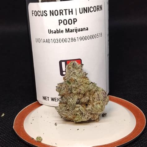 THC: 28% - 30%. LA Pop Rockz, also known as “LA Pop Rocks” or “LA Pop Rockz #4,” is an indica dominant hybrid strain (70% indica/30% sativa) created through crossing the potent Triangle Kush BX2 X Z Animal strains. This powerhouse packs an amazing flavor and gorgeous appearance alongside a long-lasting high with effects that hit you .... 