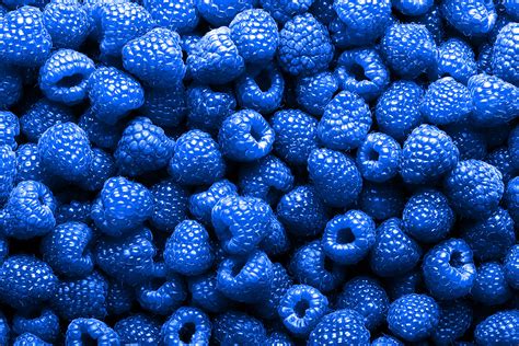 Blue rasberries. Anthocyanins (318.6 – 627 mg) Ellagic acid (234.2 – 258.4 mg) Flavonols (10.3 – 19.0 mg) Key Point: Black raspberries offer a wide range of vitamins and minerals in varying amounts. However, the micronutrient they offer in the highest quantity is vitamin C. 