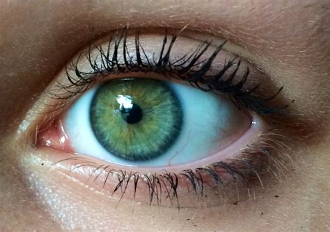 Blue to green eyes. Things To Know About Blue to green eyes. 