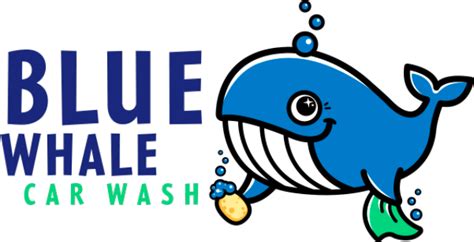 Welcome to the Blue Whale Car Wash mobile app! At Blue Whale Car Wash, we are passionate about giving you the best possible car wash experience. Our express automatic tunnel wash uses the latest car wash technology to gently and efficiently cleanse and rinse your car, leaving it sparkling like new. We are proud to use only the best soap and wax ....