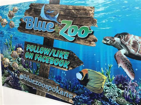 Blue zoo. Things To Know About Blue zoo. 