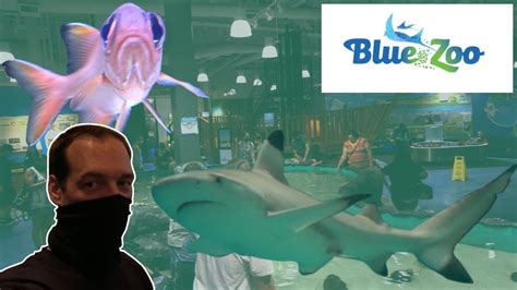 Blue zoo spokane. Blue Zoo! Our mission is to educate and inspire in a fun, hands-on environment! See jellyfish, clownfish, seahorses, an octopus and sharks! Touch and feed stingray, birds and lizards! Enjoy a 24 foot pirate ship … 