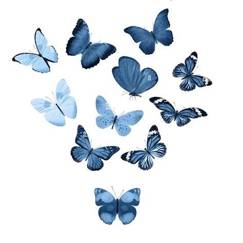 BlueButterFly - YouTube