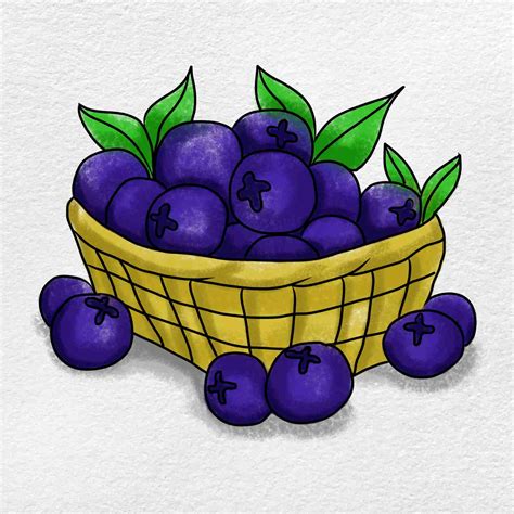 Blueberries Drawing