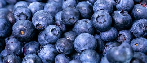 While many fruits call their natural homes places far across the sea from North America, blueberries are actually native to North America. They are the biggest amount of fruit produced in Canada, and the United States of America produces many of them as well.. 