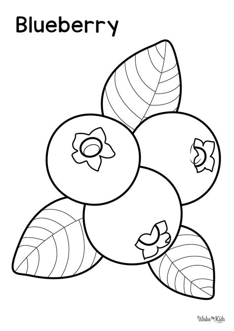 Blueberry Coloring Page