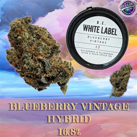 Blueberry Vintage Strain Review Butterfly Effect : r ... - Reddit