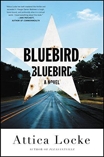 Bluebird, Bluebird (Highway 59 by Attica Locke Book 1)